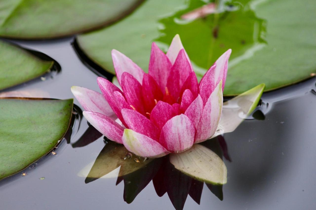 The Polchar - Aviemore Ngoại thất bức ảnh